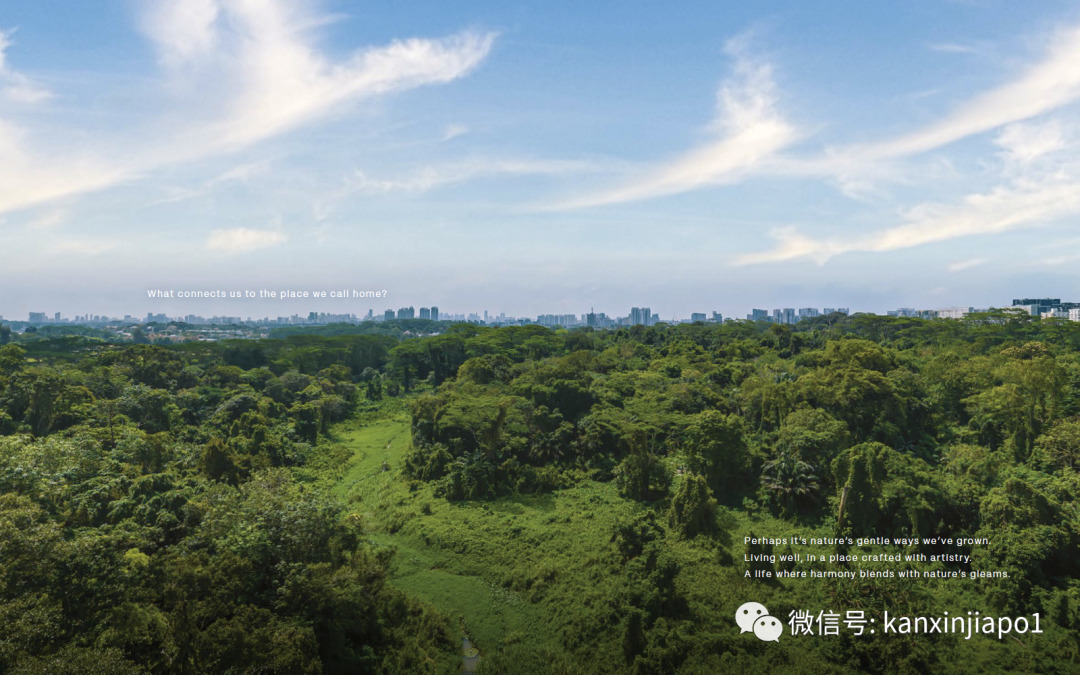 Pinetree Hill Singapore Eye