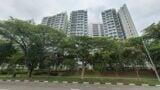 jurong west blossom