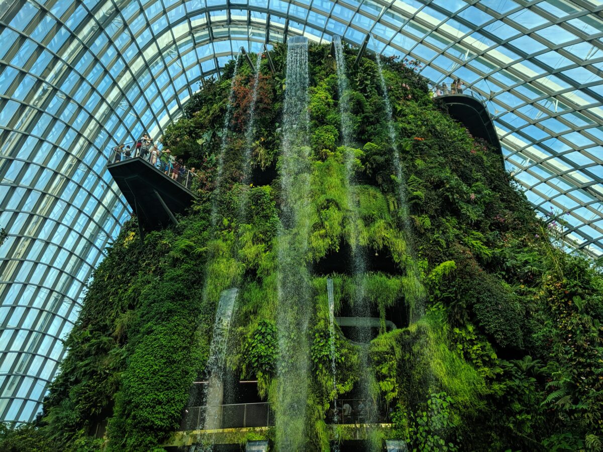 gardens by the bay singapore