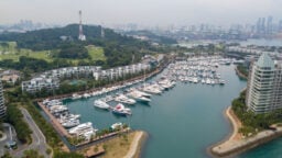 marina collection and yachts at sentosa cove