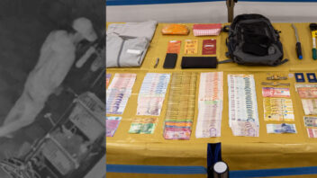 Pasir Ris burglary and theft case