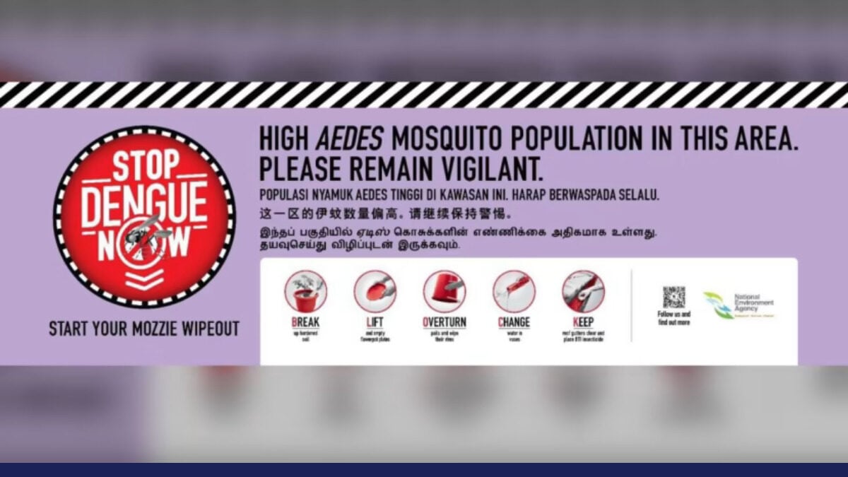 rising dengue cases in Singapore - dengue prevention tips