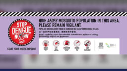 rising dengue cases in Singapore - dengue prevention tips
