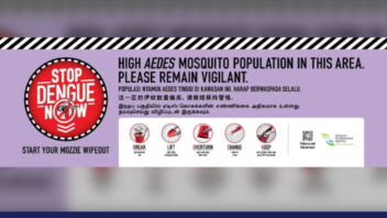 rising dengue cases in Singapore - dengue prevention tips