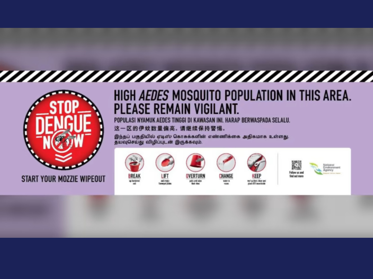 rising dengue cases in Singapore - dengue prevention tips
