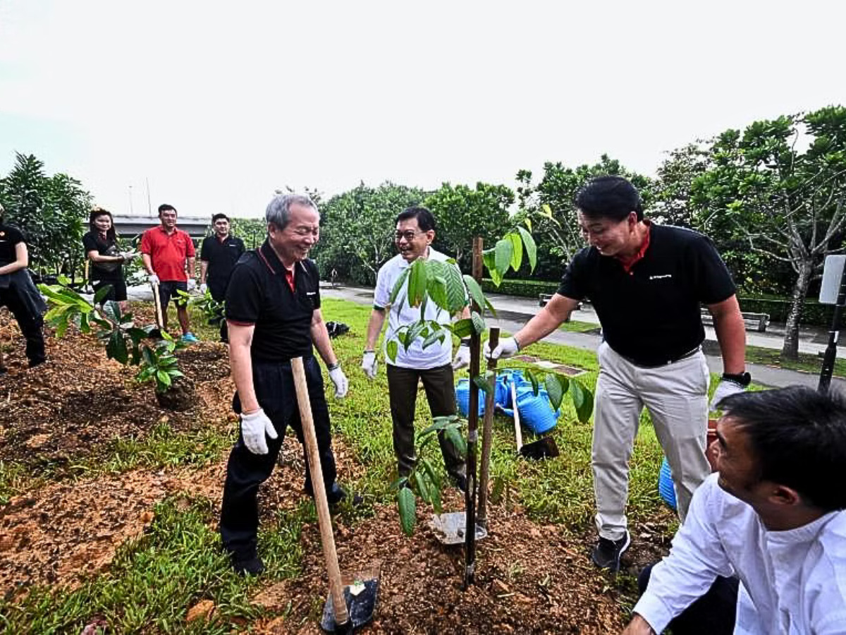 TLL project is part of the “Gaea Forest” programme - property values in Punggol