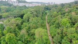 choa chu kang bto flats