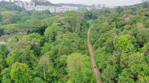 choa chu kang bto flats
