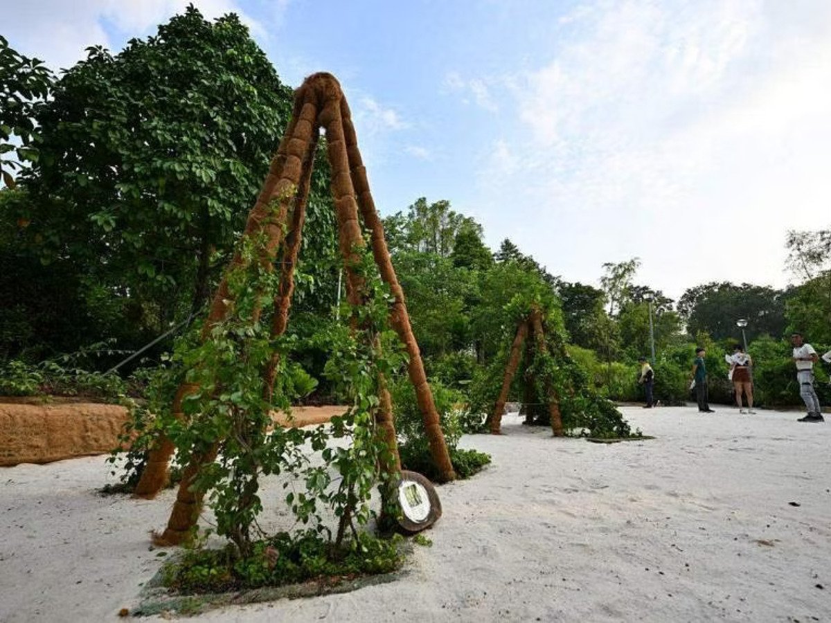 Therapeutic garden at Sembawang Park