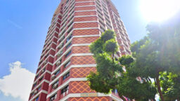 A maisonette at Block 278 Bishan Street 24 - record for Bishan & executives