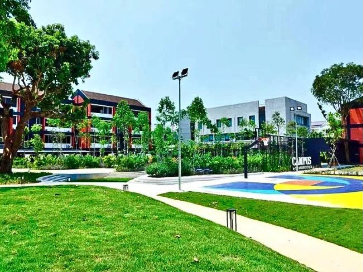 Campus's landscape 