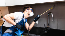 Pest control services in Singapore