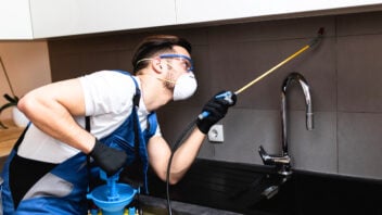 Pest control services in Singapore