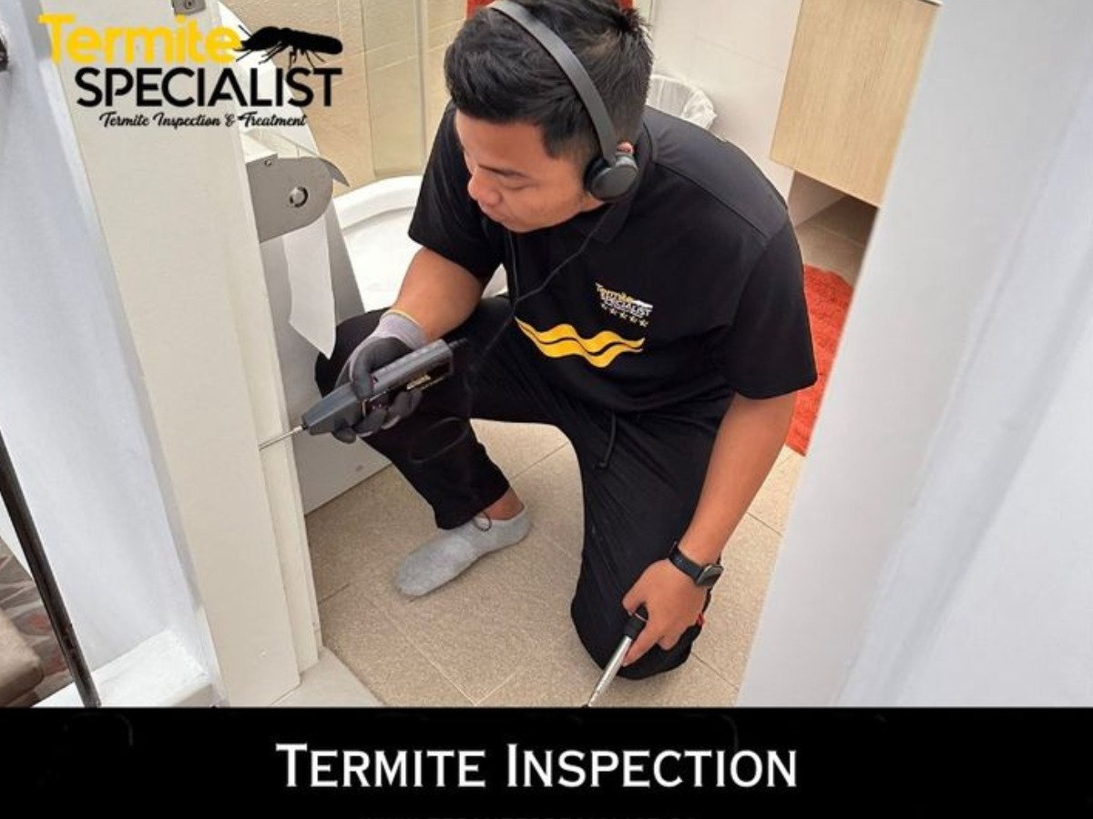 Termite Specialist - pest control services in singapore