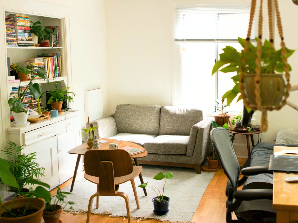 Use plants to soundproof your HDB flat in Singapore 