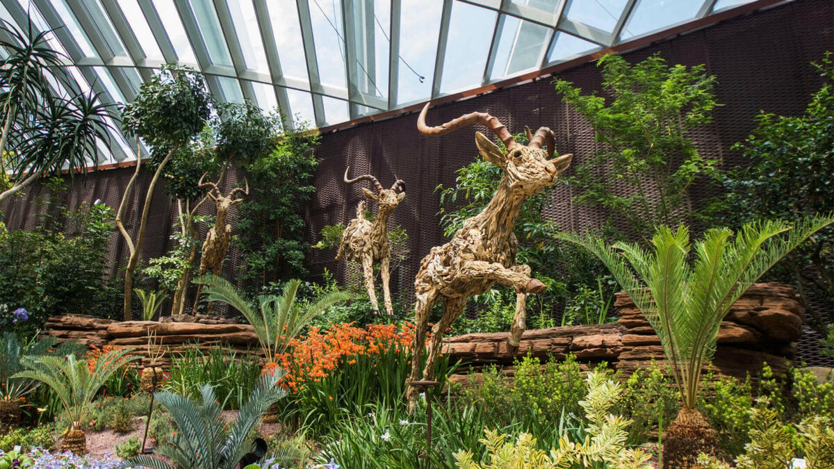 gardens by the bay 100 millionth visitor