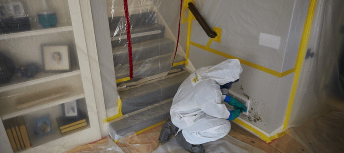 home mold removal services in singapore