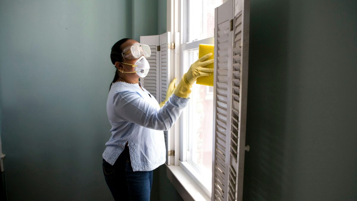 home mould removal services in singapore