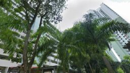 ang mo kio 4br ath 2024