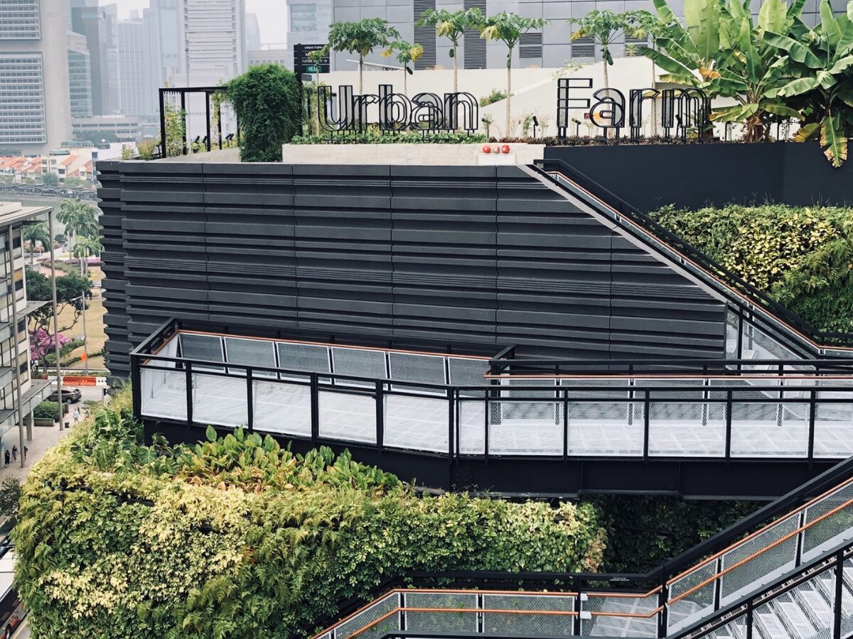 things to do in funan mall singapore - Urban Farm @ Funan