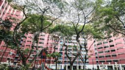 99C lor 2 toa payoh ath august 2024