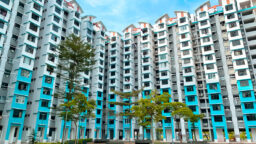 HDB resale price trend spiked over 10% YoY in November 2024