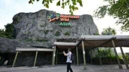 Rainforest Wild Asia Entrance, Straits Times