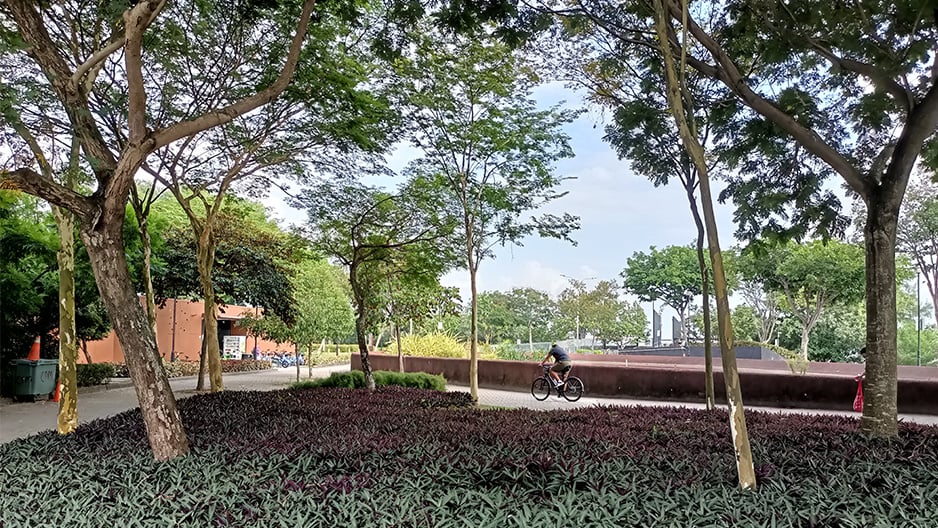 Cycling around Punggol Point Park
