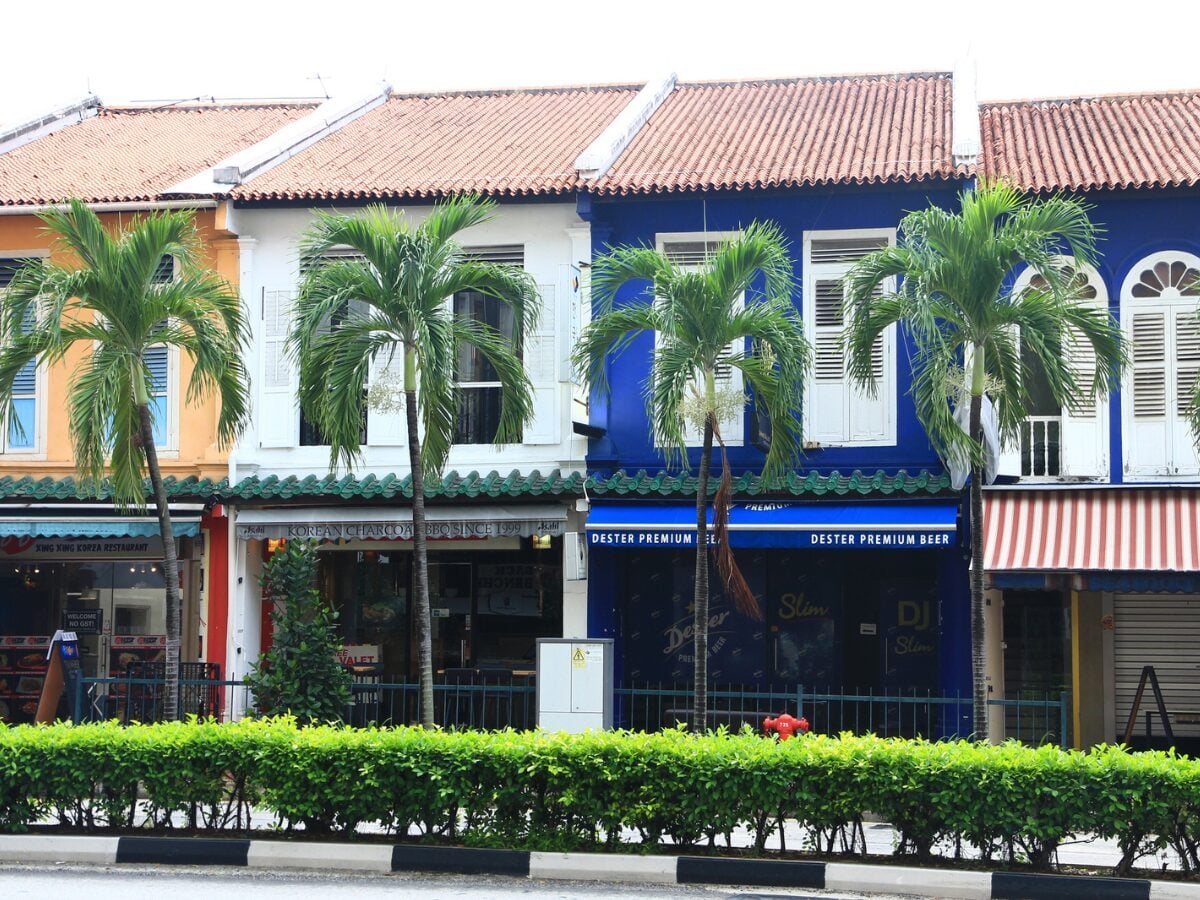 tanjong-pagar-shophouses-singapore