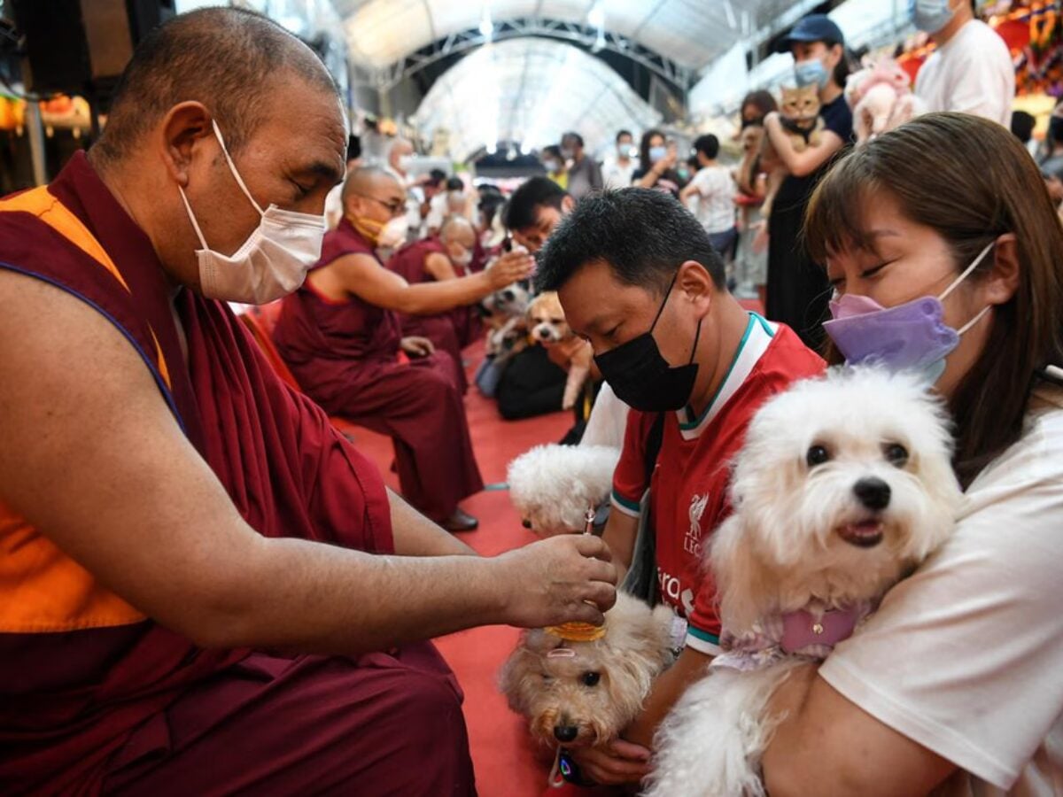 vesak day animal blessing 2025 singapore