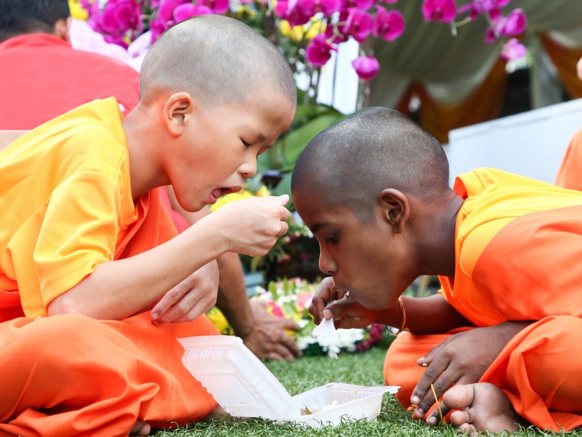 vesak day family carnival 2025 singapore