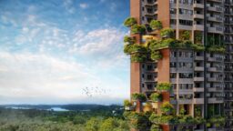 Springleaf Residence