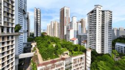 condo resale flash report 2025
