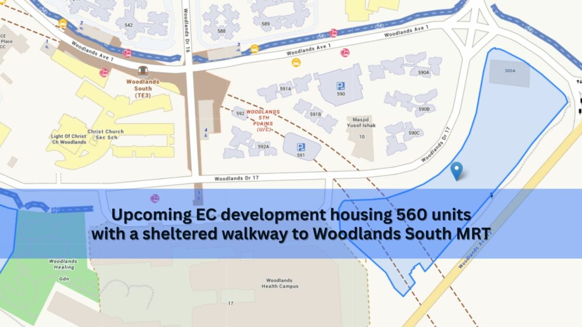 second EC plot at Woodlands Drive 17