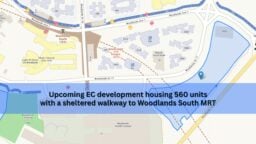 second EC plot at Woodlands Drive 17